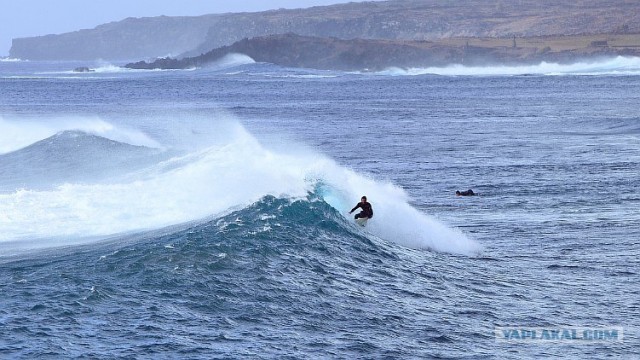 Южно-Американский дневник. остров Пасхи