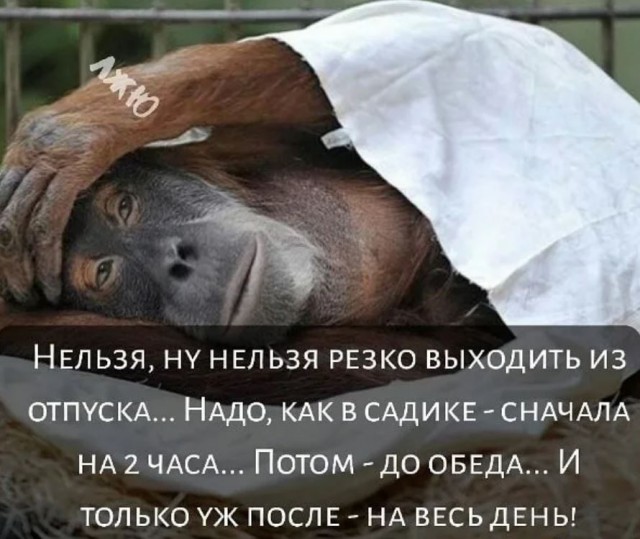 Победная поступь идиотизма по планете.