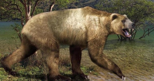 Агриотерий: Бульдог среди медведей. Его сила укуса с учетом огромных размеров была сокрушительна