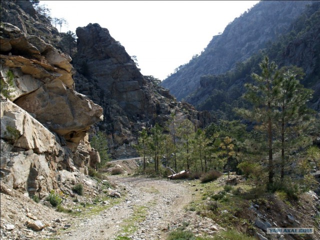 Франция. Корсика.