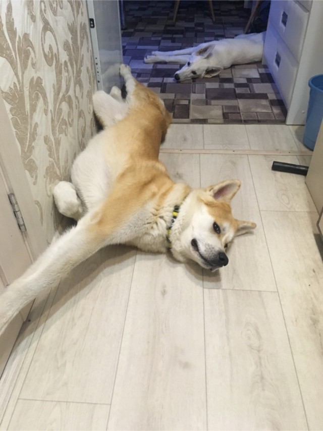 Ну, типа, с четвергом!
