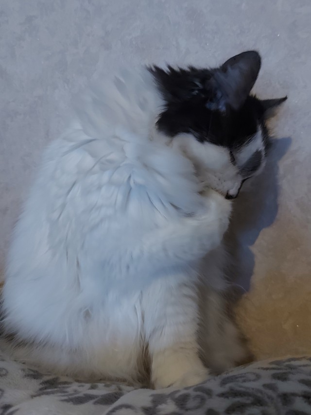 Совпало же? В котовторник