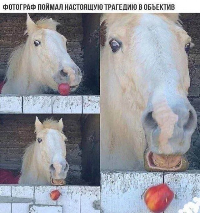 Картинки и мемы, всяко разно - 185
