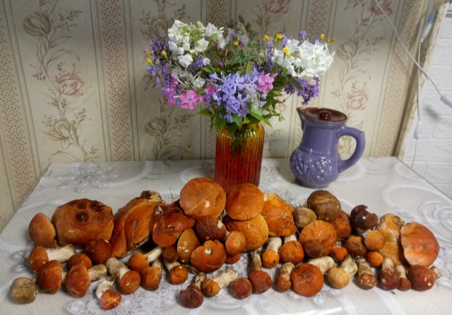 Перекличка грибников