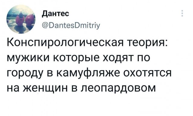 Отряд быстрого деградирования