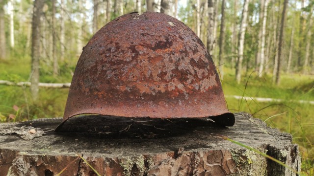Шепот прошлого: что помнит раненое дерево