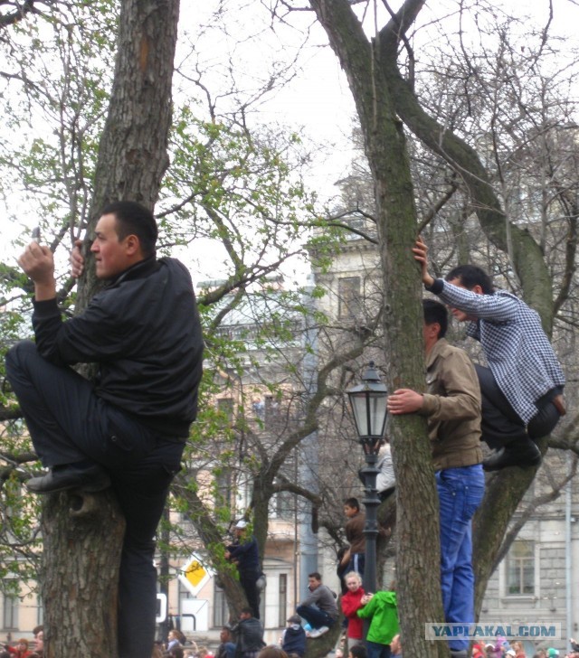 Гости города на празднике победы