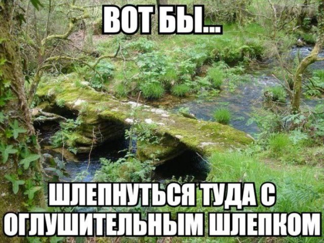 Всего понемногу. От 05.08.24