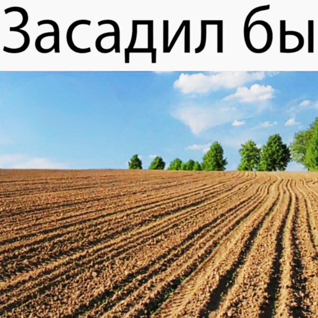 Прикольные и просто красивые картинки 03.09.2024