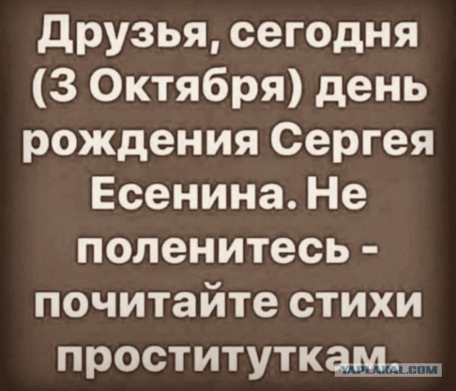 Весёлый полтишок 04.10.2024