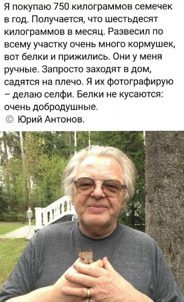 Весточка от Юрия Антонова