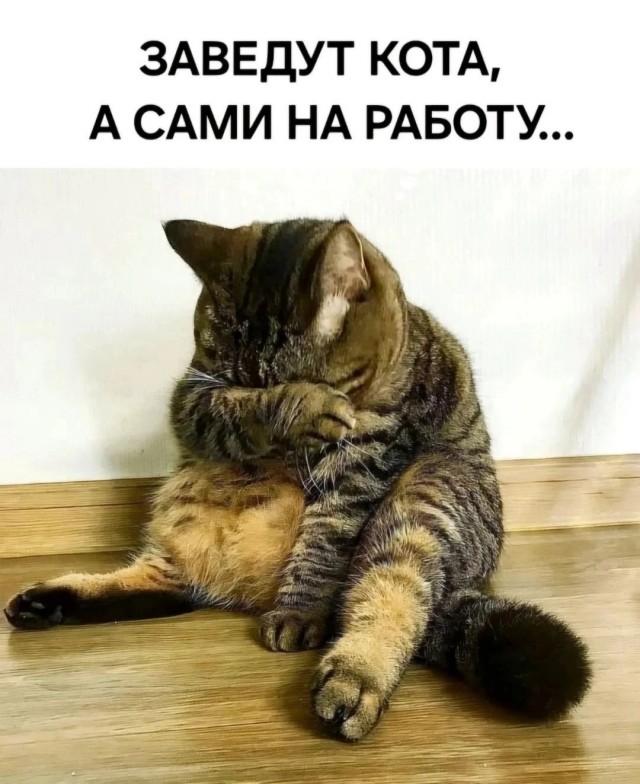 Завалялось тут случайно немного забавных картинок