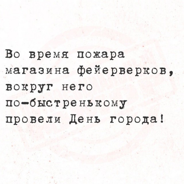 Весёлый полтишок 29.12.24