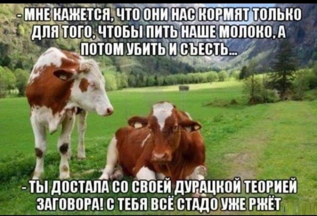 Влияние мирового правительства на мир и жизнь людей