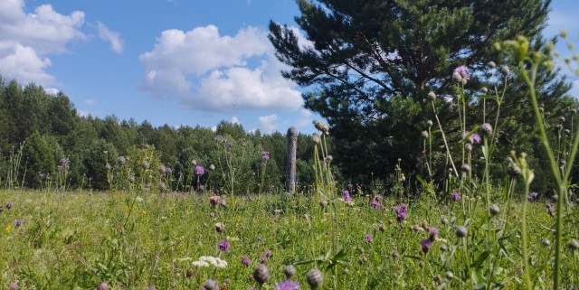 Литературная беседка v.1