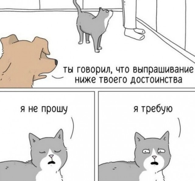 Веселые картинки в пятницу (11.04)