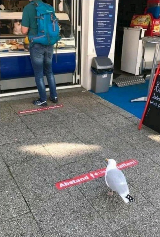 ФотоВинегрет