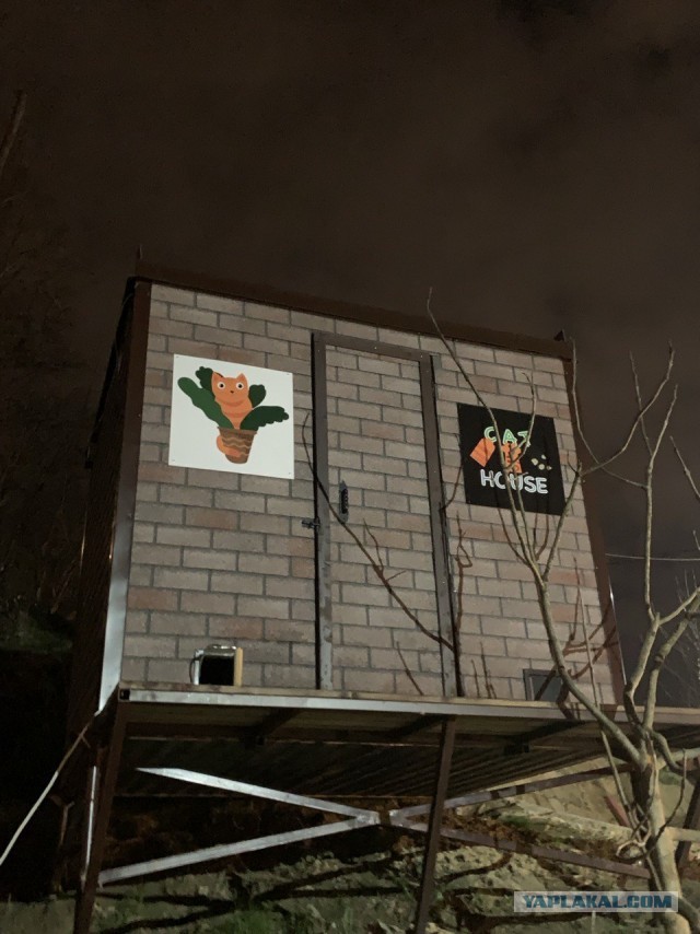 Мои предпринимательские истории. Глава 7. Особенности строительства международной Компании в первом полугодии 2022 года.