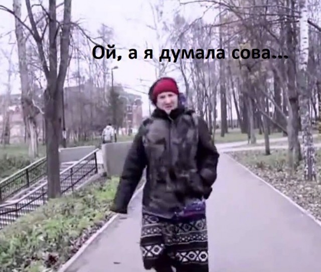 Кошачьи звезды вэбкама