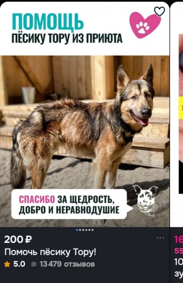Как легко зарабатывать на Озоне