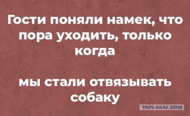 Субботние картинки