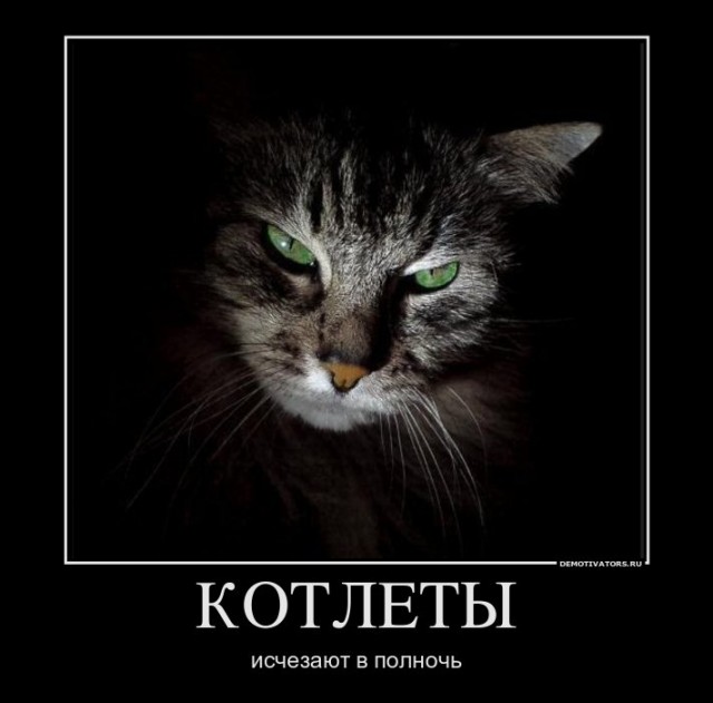 Склад баянов