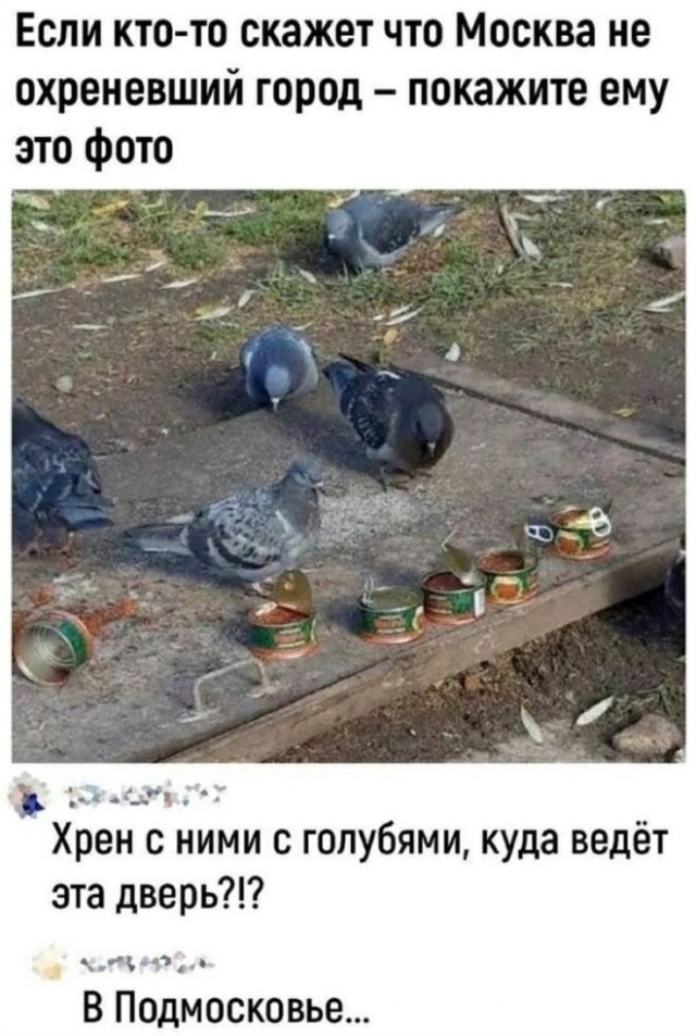Веселые картинки в маленькую пятницу (08.04)