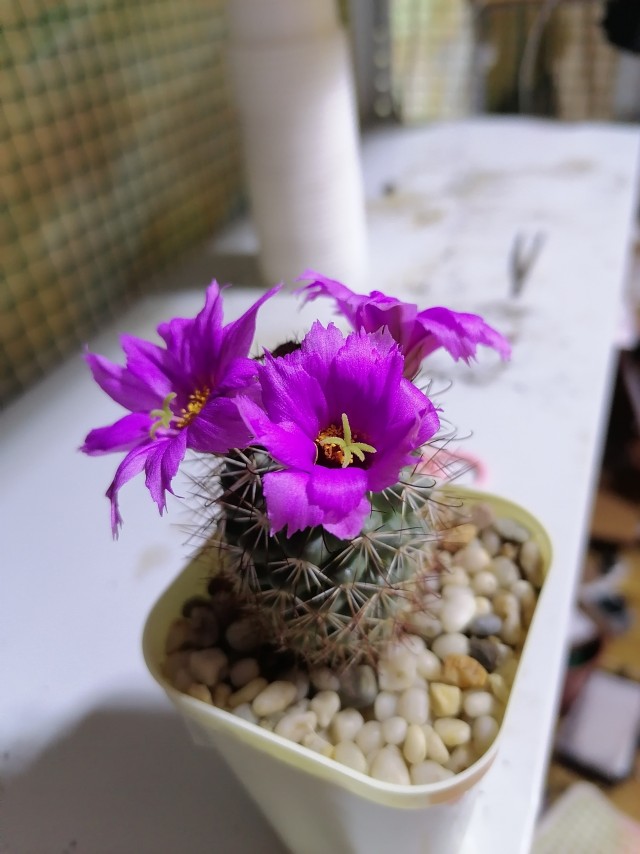 Поздравляю всех причастных с праздником!