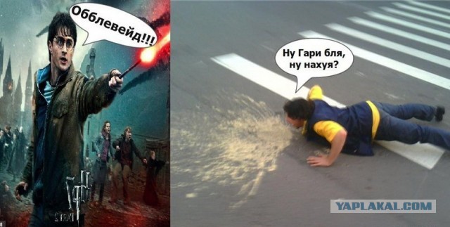 В Хогвардс, шеф!