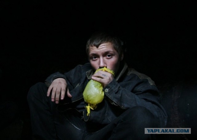 Пентиум стоячий в виде браузера