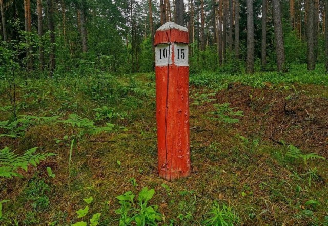 Сплав по Вишере от 71 квартала до Красновишерска.
