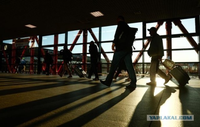 В ГД предложили обязать авиакомпании бесплатно отправлять СМС о задержке рейсов