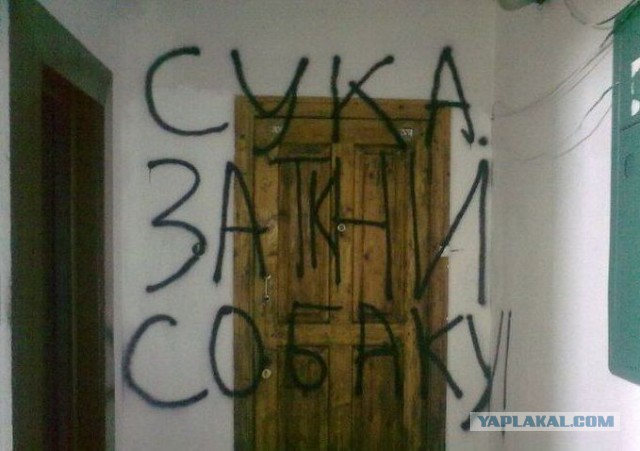 Женщины против существ мужского пола