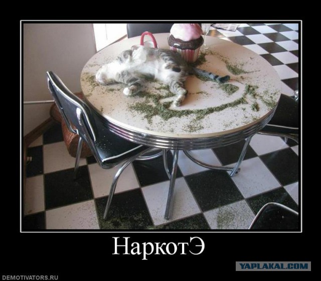 Позитивные картинки