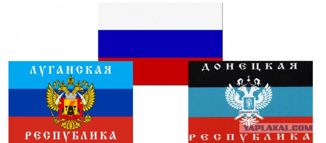 Ответ майдану-жуй шоколад и 'соси свою рошенку'﻿