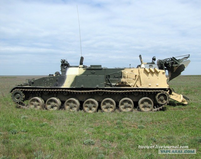 810-я отдельная бригада морской пехоты