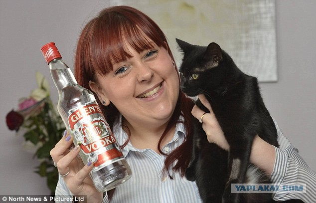 Кошку спасли от смерти пол-литра водки