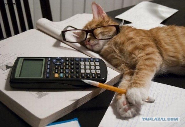 Бухгалтер и флешка