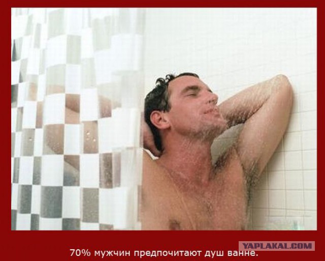 20 фактов обо всем