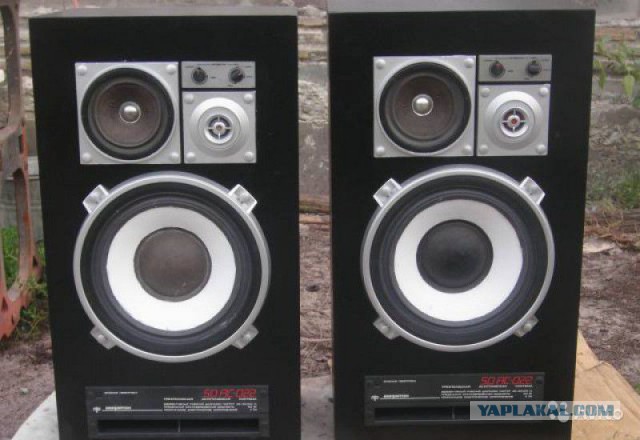 Ремонт колонок 10АС-203