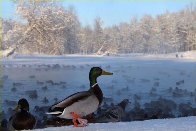 Немного моих фото, авторское