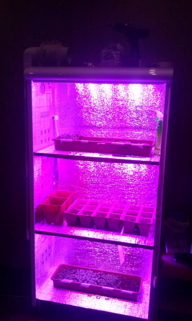 Огород круглый год