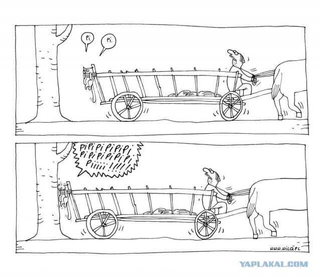 История в фотографиях