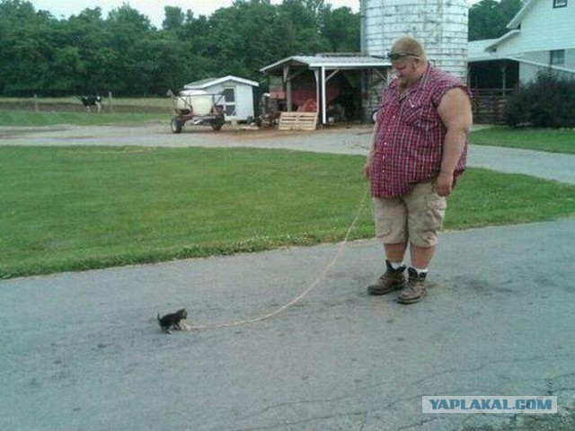 Обычные необычные фотографии