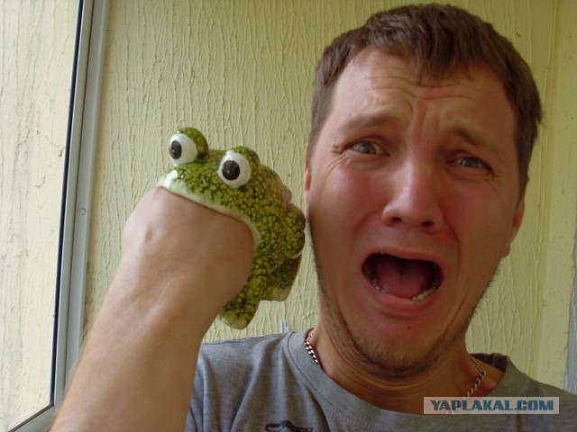 Смелые ЯПовцы.