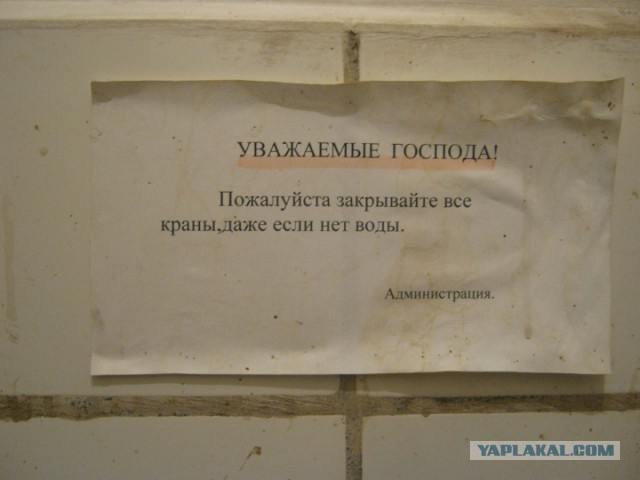 Весёлые картинки