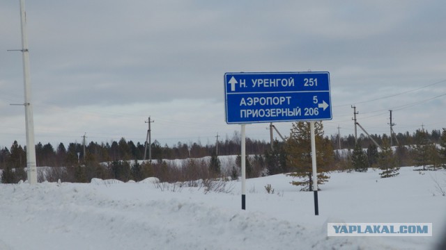 Новый Уренгой-Надым, покатушки  в выходные на День Оленевода