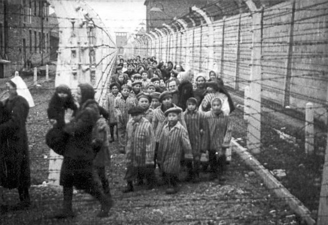 История "Освенцима". Кто освобождал "Освенцим"?