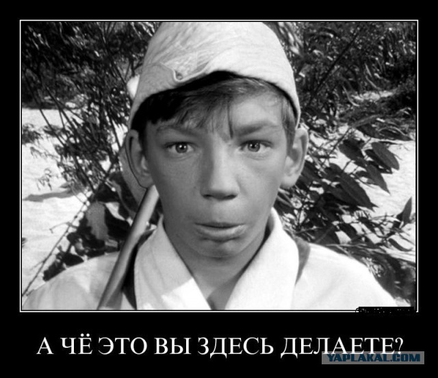 Когда увидел годный пост в минусе