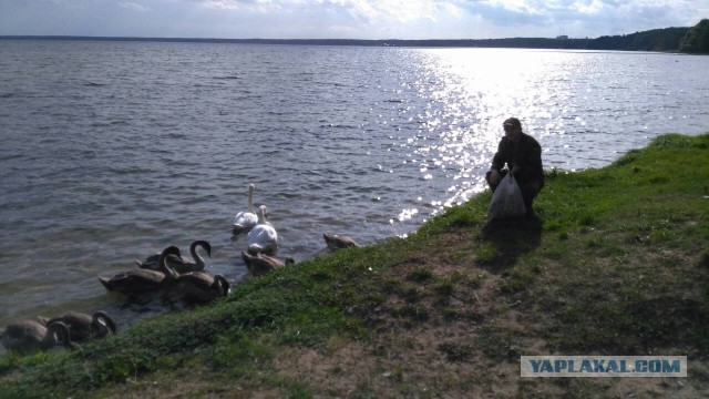 Мужчина наловил 45 килограммов рыбы на 5000 рублей, а потом попытался уйти от погони ГАИ